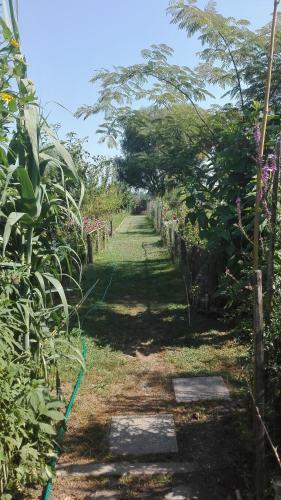 Agroturismo Farm Stay Lackovic