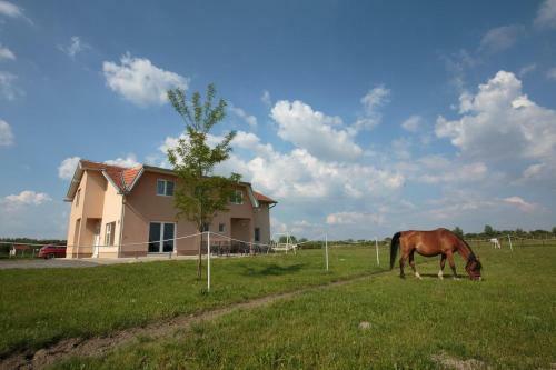 Hostal Secluded Rooms Bilje (slavonija) - 14318