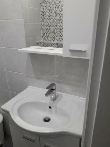 Apartment Brodarica 4195a
