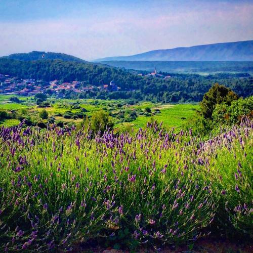 Bed & Breakfast Villa Veli Nova