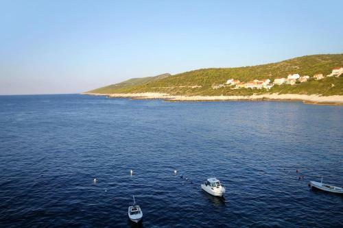 Apartments By The Sea Zavalatica (korcula) - 182