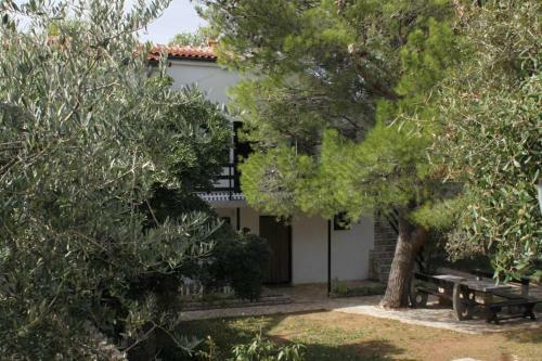 Apartments With A Parking Space Zdrelac (pasman) - 8514