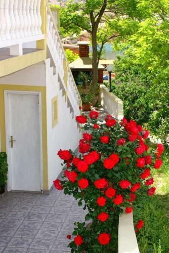 Apartment Metajna 4116a