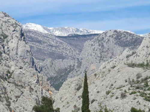 Hostal Apartments And Rooms Degenija