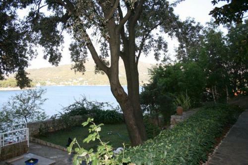 Apartamentos Studio Stikovica 2131a