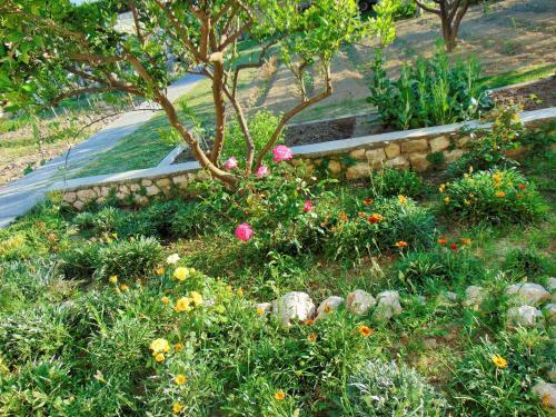 Apartment In Supetarska Draga 34570