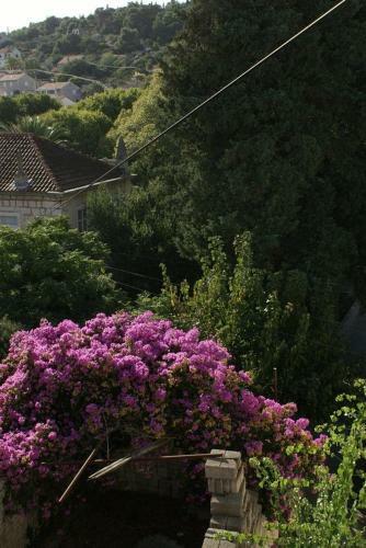 Apartments By The Sea Sutivan (brac) - 2849