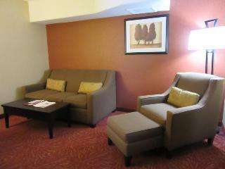Hotel Comfort Suites Airport