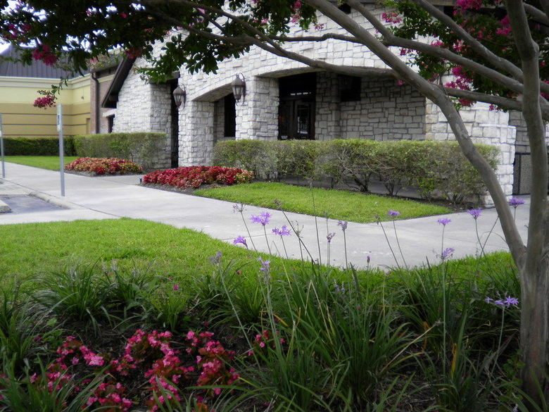 Hotel Holiday Inn Houston Intercontinental Arpt