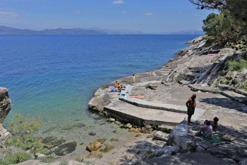 Apartment Trpanj 10121a