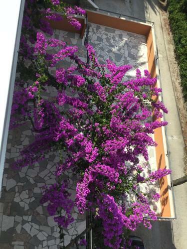 Apartamentos Villa Miolin