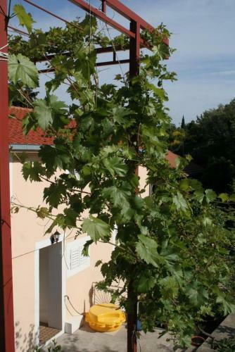 Apartamentos Studio Trpanj 257d