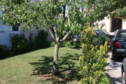 Apartments With A Parking Space Turanj (biograd) - 6212