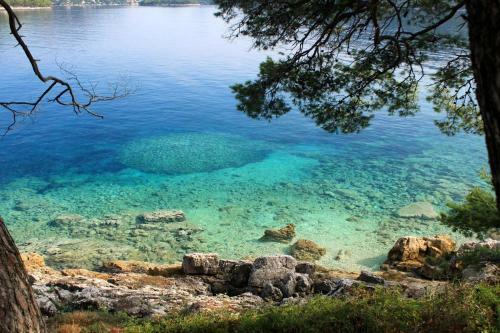 Apartamentos Studio Ubli 991a