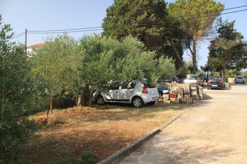 Apartments By The Sea Ugljan - 8304