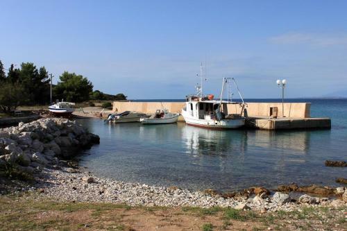 Apartment Susica 8467b