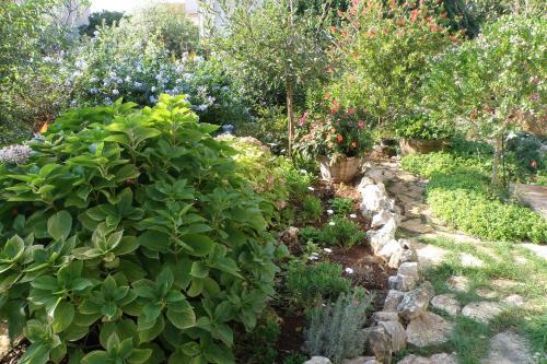 Apartments By The Sea Ugljan - 8468