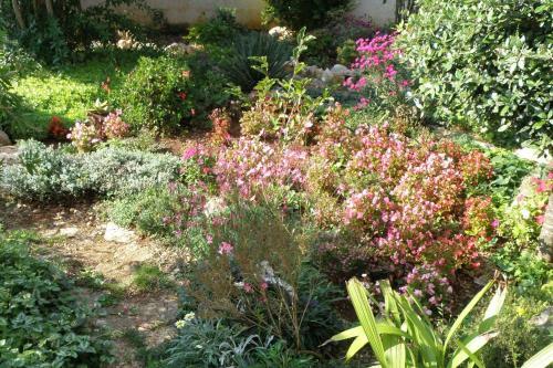 Apartments By The Sea Ugljan - 8468