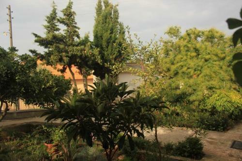 Apartment Ugljan 8519a