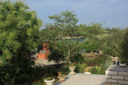 Apartment Ugljan 8519a