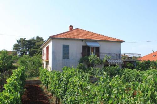 Apartment Ugljan 8264a