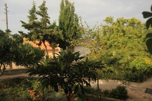 Apartments By The Sea Ugljan - 8519