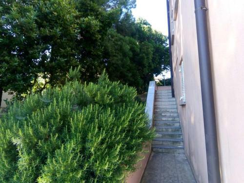 Apartamentos Villa Riva