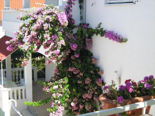 Apartamento House Umag (4222)
