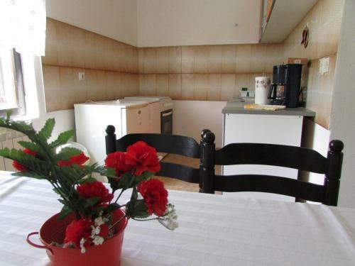 Mirela House With Apartment