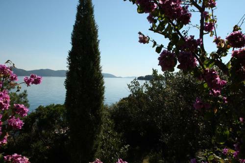 Villa Zeus Waterfront