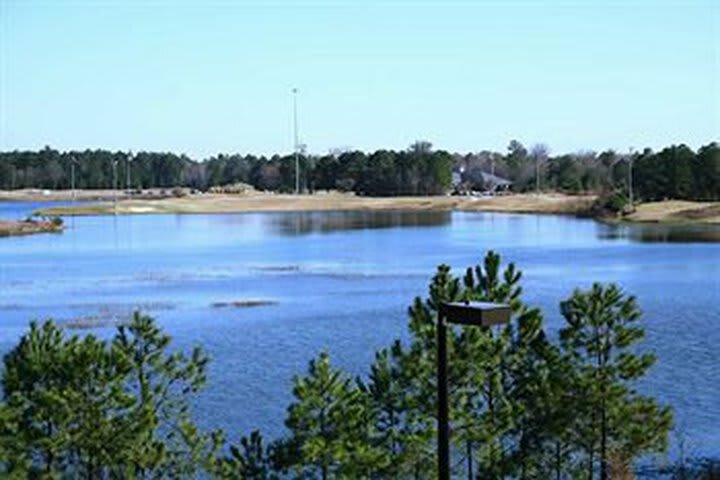 Hotel Hampton Inn And Suites Savannah-airport