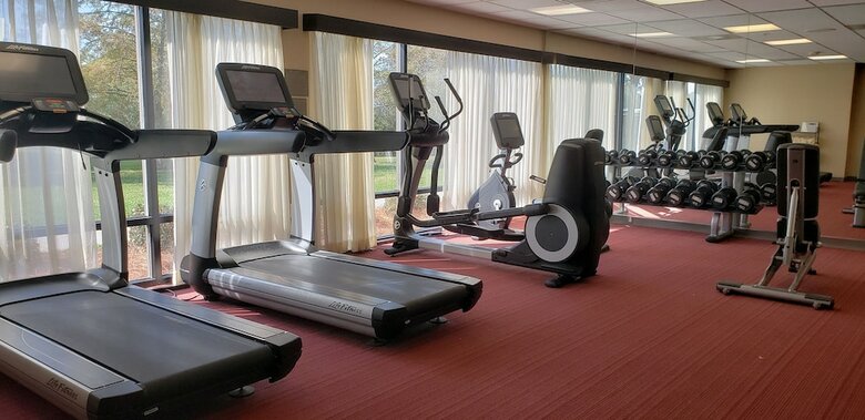 Hotel Hampton Inn And Suites Savannah-airport