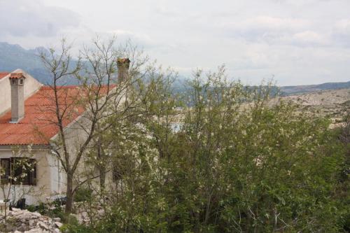 Apartment Vinjerac 6187d