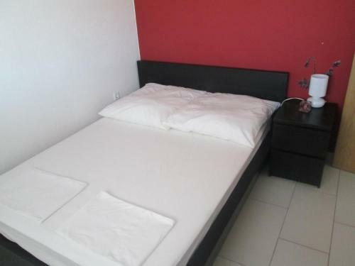 Apartments Dragi?evi?