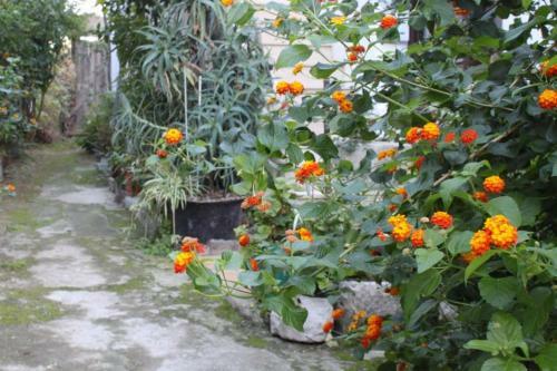 Apartment Vis 8921b