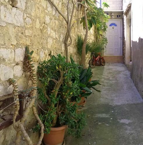 Apartamentos Over The Sea In Vis Town