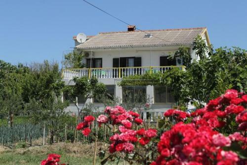 Apartamentos Studio Vlasici 4148b