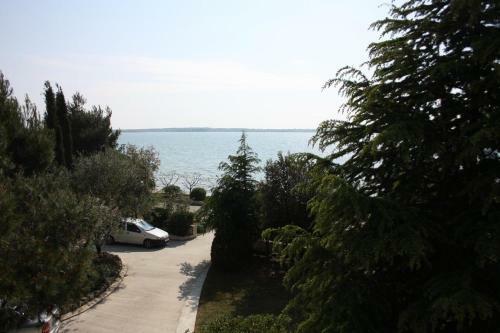 Family Friendly Seaside Apartments Vrsi - Mulo (zadar) - 6155