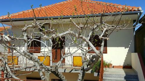 Apartments By The Sea Posedarje (novigrad) - 12402