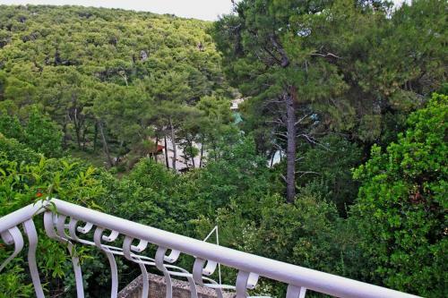 Seaside Holiday House Postira (brac) - 13001