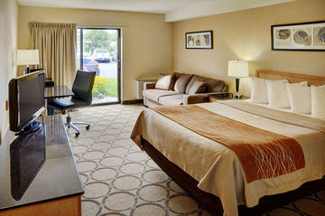 Hotel Comfort Inn Simcoe