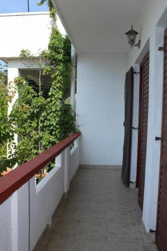 Apartments With A Parking Space Povljana (pag) - 6468