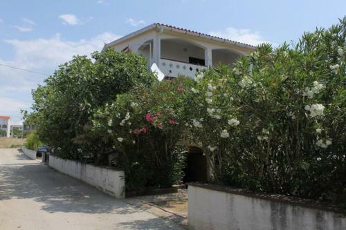 Apartment Povljana 227d
