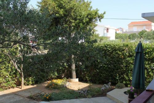 Apartment Povljana 6468a