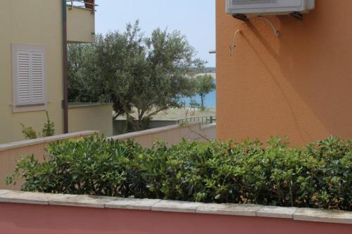 Apartment Povljana 7505c