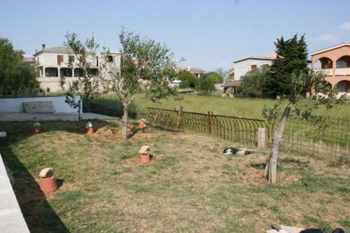 Apartment Povljana 229b