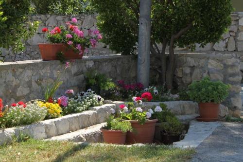Apartment Vlasici 6523a