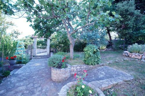 Apartments Pimpinella
