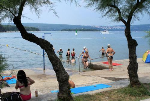 Apartments With A Parking Space Punat (krk) - 5375