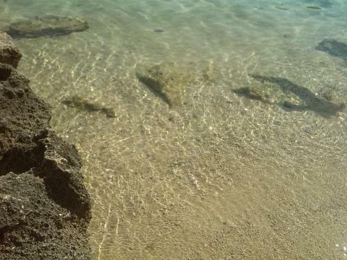 Apartment In Rab/insel Rab 33696